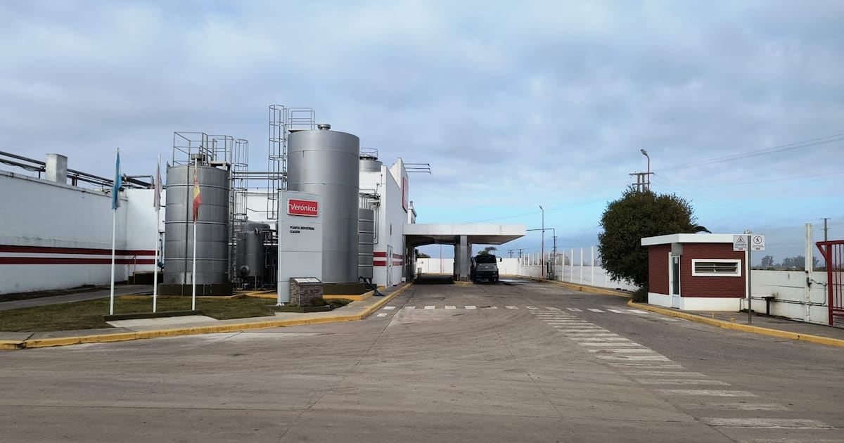 Verónica avanza con la venta de dos plantas en Santa Fe para aliviar un pasivo de 118.000 millones de pesos