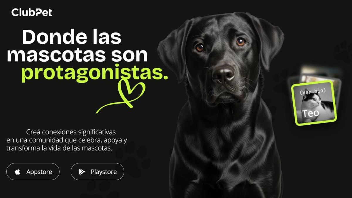 Una noche en el Pacífico: adopción a la gorra y una app que quiere cambiarle la vida a las mascotas de Neuquén