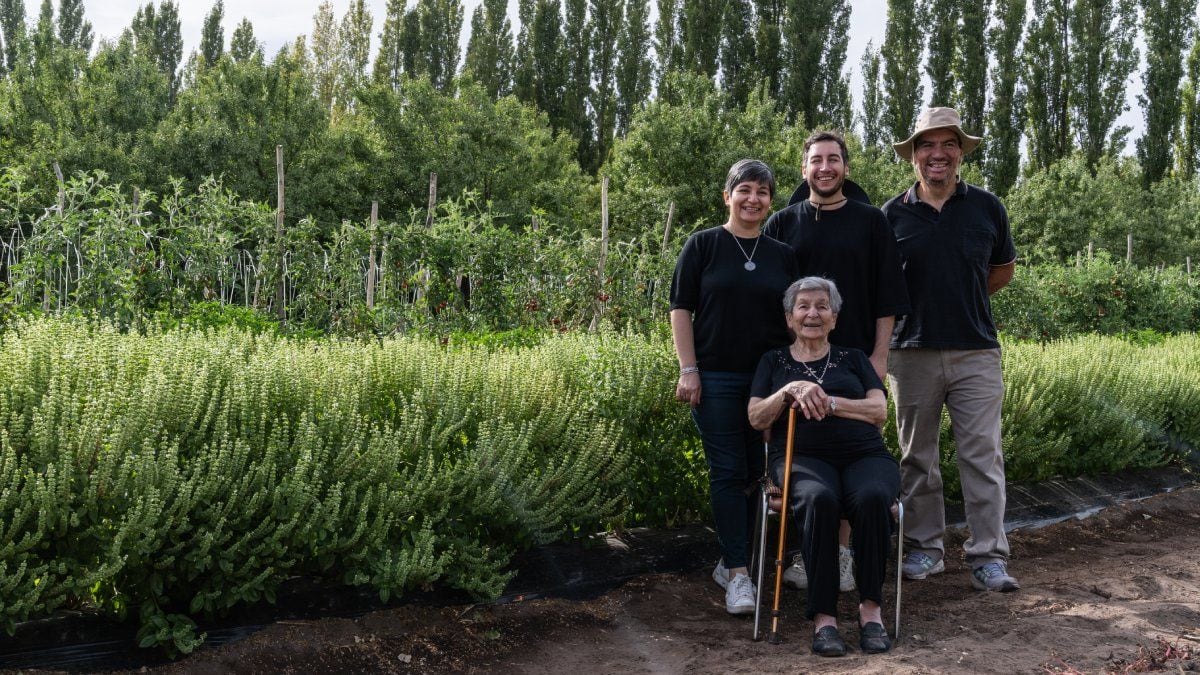 El comprobante de 1981 que guardaba una receta: la historia de los hermanos que transformaron la salsa de la nonna en un emprendimiento