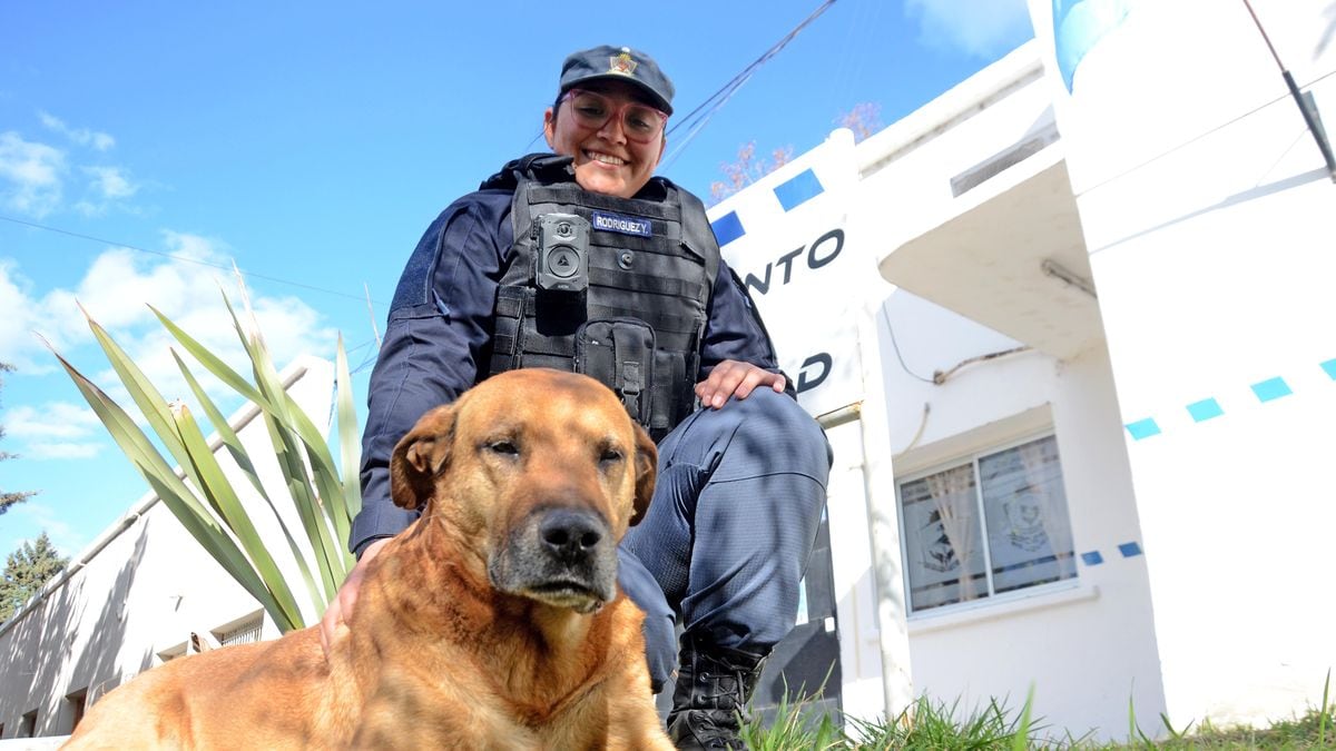 Puchero, el perro que hace más de una década patrulla las calles de Neuquén a la par de los bicipolicías