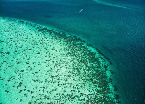 San Pedro, la puerta del Caribe beliceño que se recorre en carrito de golf y se disfruta bajo el agua