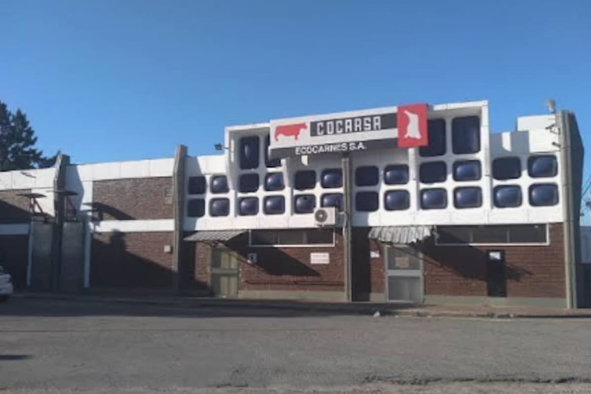 Trabajadores de Ecocarnes alertan por la falta de obra social y la presión sobre los salarios en el frigorífico de San Fernando