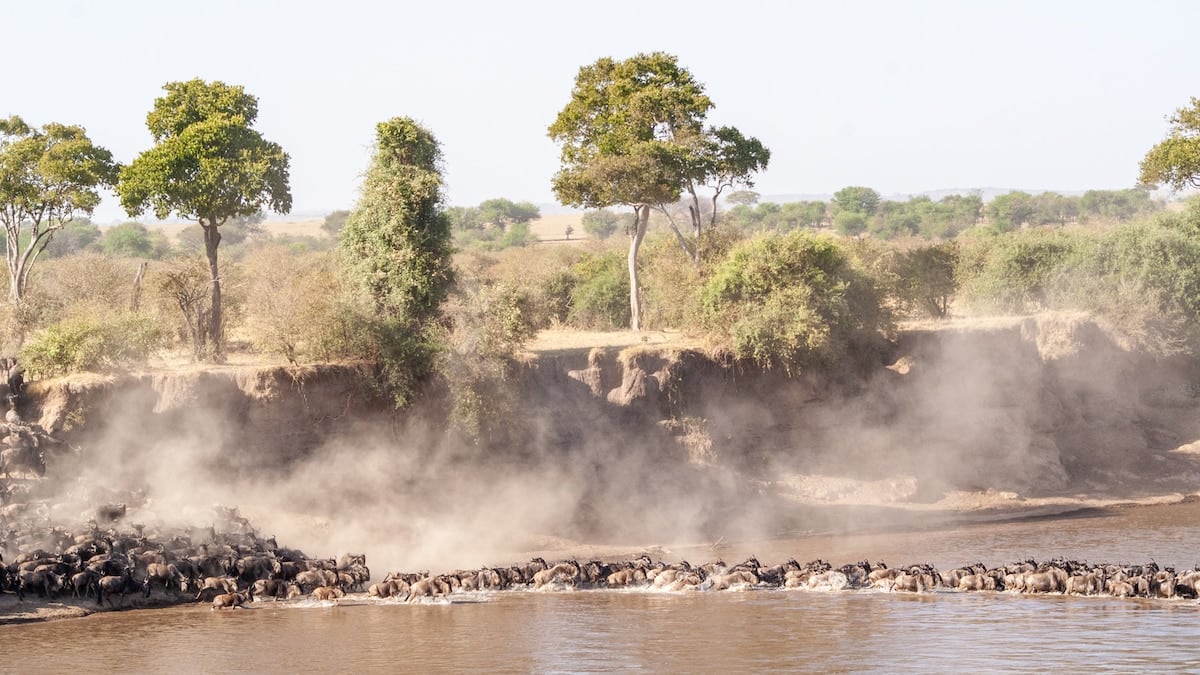 Entre baobabs, cráteres y comunidades: una semana por el norte de Tanzania