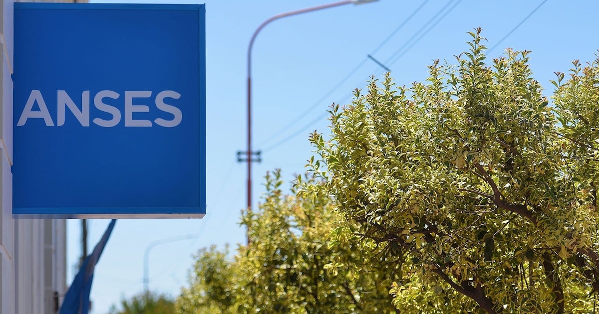 Cronograma de ANSES para octubre: cómo queda el cobro de los DNI terminados en 2