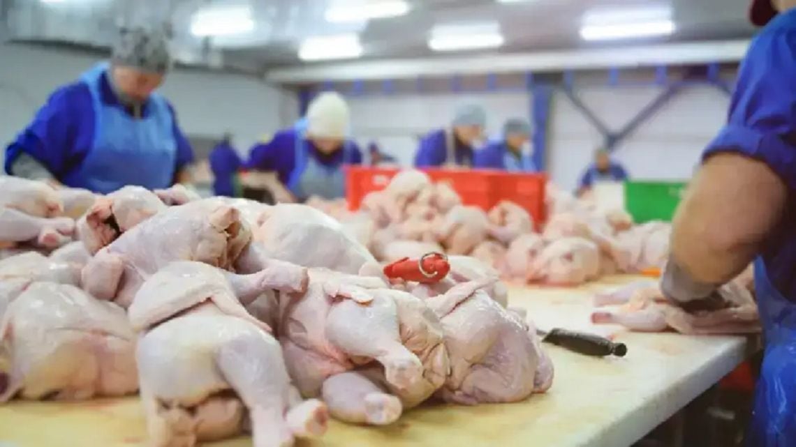 La carne aviaria desplazó a la vacuna en la mesa de los argentinos
