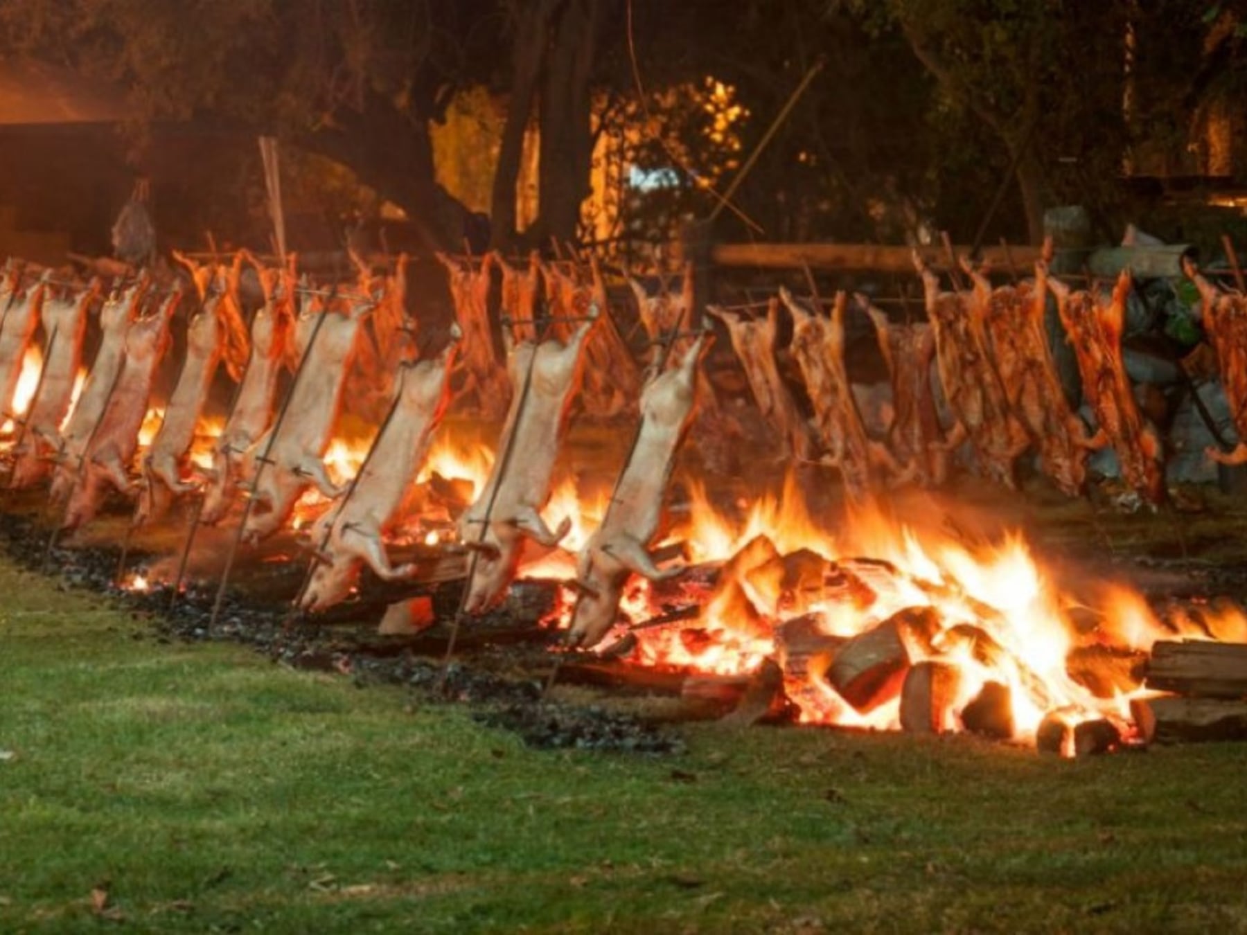 Una agenda extensa de fiestas populares para recorrer Buenos Aires entre el 10 y el 12 de octubre