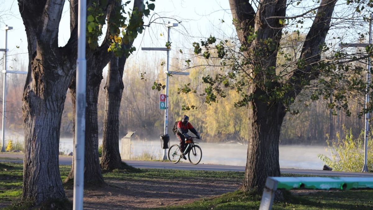 Sábado fresco en Neuquén: la AIC anticipa una máxima de 14 grados y ráfagas nocturnas de 31 km/h