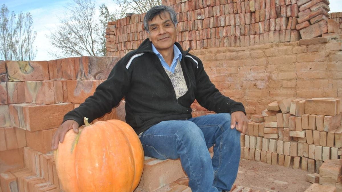 Volver a la tierra: Mariano Moreno vuelve a tirar la semilla y llama a los vecinos a competir por el zapallo más grande