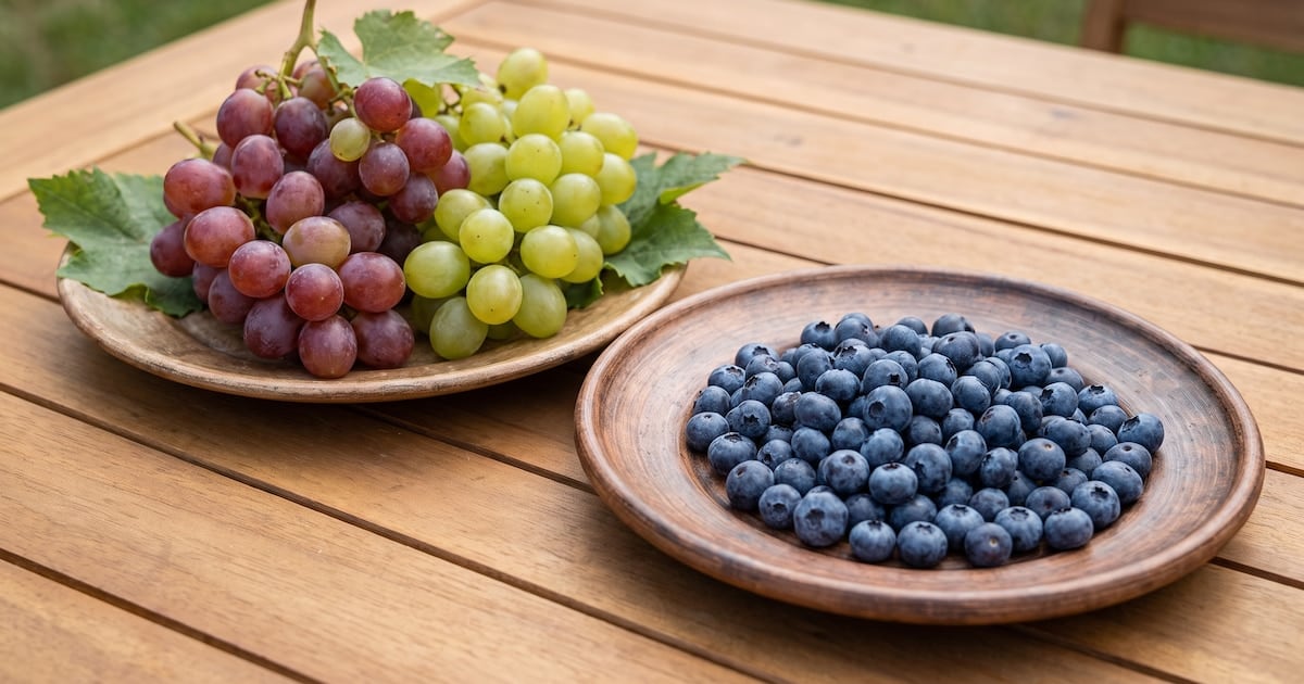 Arándanos o uvas: qué fruta ofrece una respuesta glucémica más estable según los especialistas