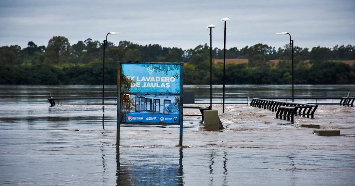 Las lluvias del litoral empujan alzas en la carne y licúan el costo de la energía antes de fin de año