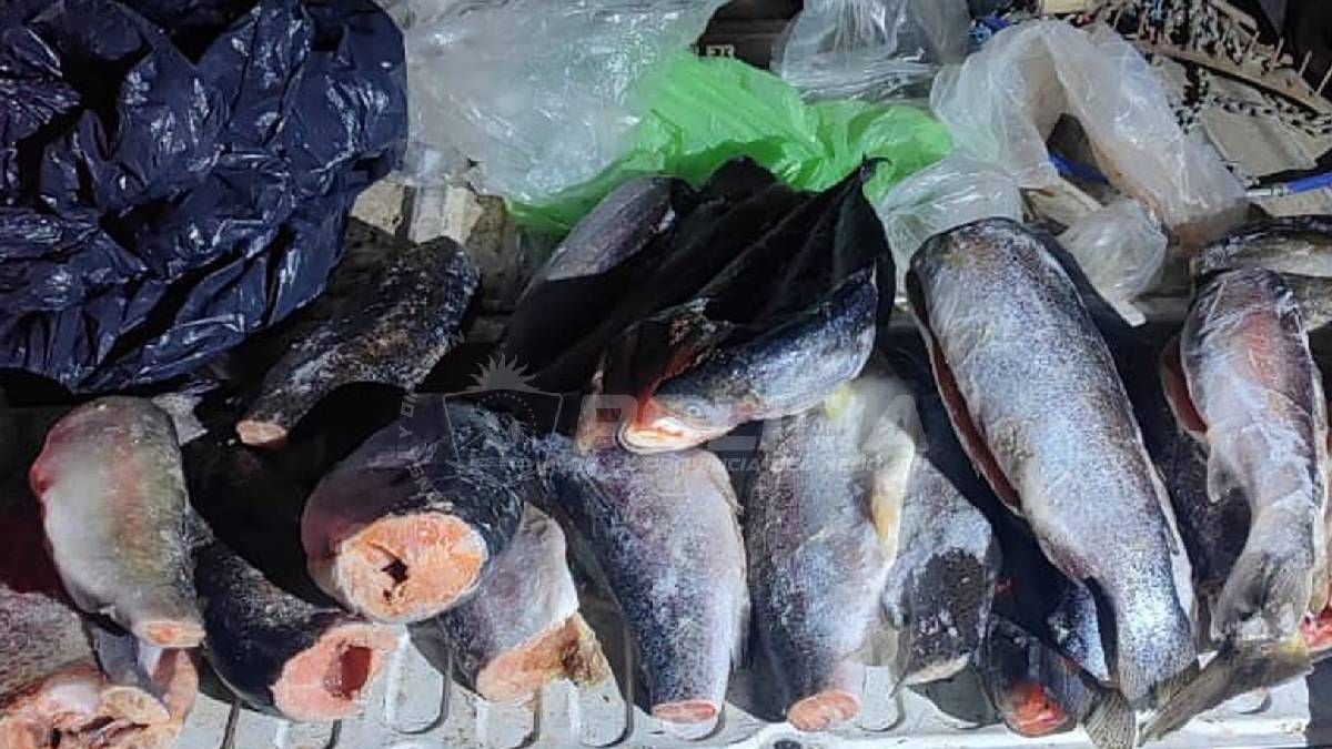 A la pesca, antes que llegue noviembre: cómo se vive en los embalses que ya están habilitados