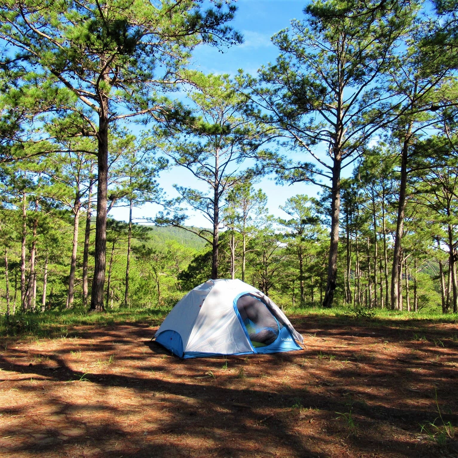 Huttopia desembarca en Mar Azul con un camping de 55 hectáreas entre pinos y dunas
