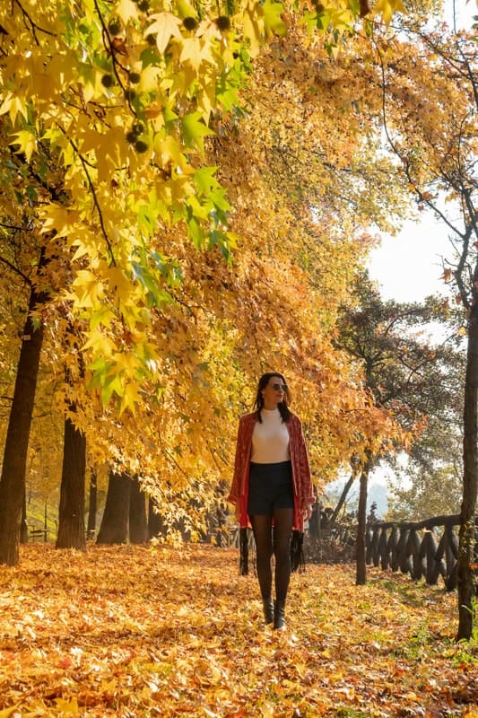 El otoño europeo abre una ventana de viaje con menos tumulto y más espacio para recorrer
