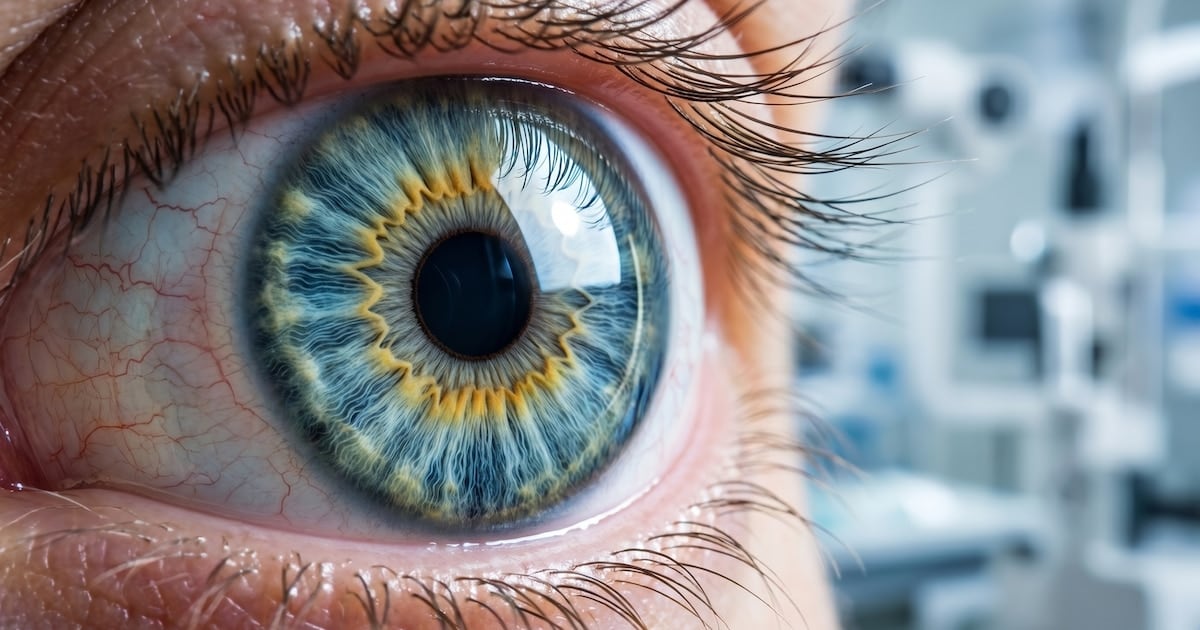 Una proteína argentina promete limitar el daño corneal causado por quemaduras químicas